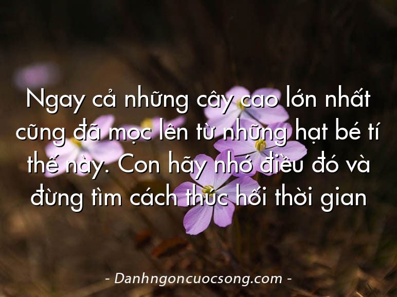 Ngay cả những cây cao lớn nhất cũng đã mọc lên từ những hạt bé tí thế này. Con hãy nhớ điều đó và đừng tìm cách thúc hối thời gian