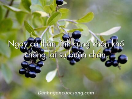 Ngay cả thần linh cũng khốn khổ chống lại sự buồn chán.