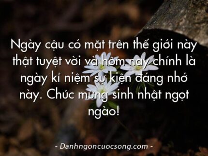 Ngày cậu có mặt trên thế giới này thật tuyệt vời và hôm nay chính là ngày kỉ niệm sự kiện đáng nhớ này. Chúc mừng sinh nhật ngọt ngào!