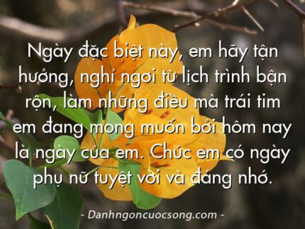 Ngày đặc biệt này, em hãy tận hưởng, nghỉ ngơi từ lịch trình bận rộn, làm những điều mà trái tim em đang mong muốn bởi hôm nay là ngày của em. Chúc em có ngày phụ nữ tuyệt vời và đáng nhớ.