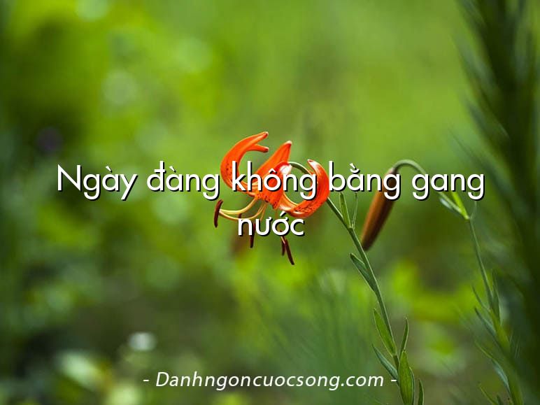 Ngày đàng không bằng gang nước
