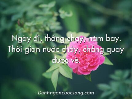 Ngày đi, tháng chạy, năm bay. Thời gian nước chảy, chẳng quay được về.