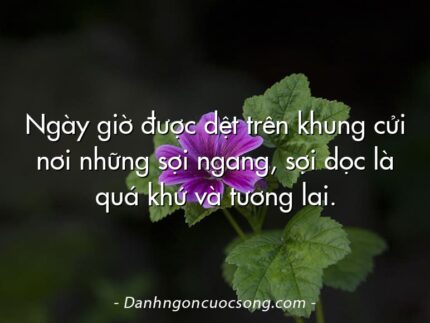 Ngày giờ được dệt trên khung cửi nơi những sợi ngang, sợi dọc là quá khứ và tương lai.