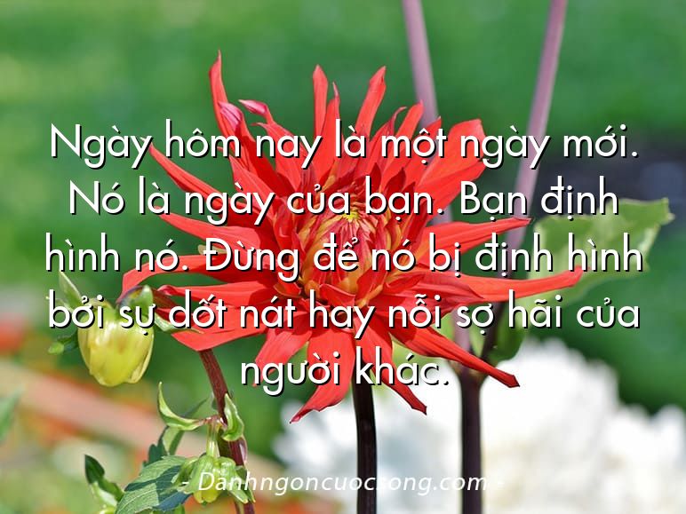 Ngày hôm nay là một ngày mới. Nó là ngày của bạn. Bạn định hình nó. Đừng để nó bị định hình bởi sự dốt nát hay nỗi sợ hãi của người khác.