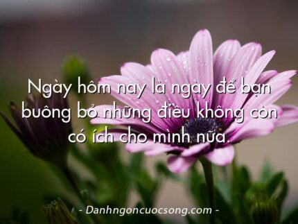 Ngày hôm nay là ngày để bạn buông bỏ những điều không còn có ích cho mình nữa.