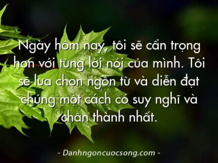 Ngày hôm nay, tôi sẽ cẩn trọng hơn với từng lời nói của mình. Tôi sẽ lựa chọn ngôn từ và diễn đạt chúng một cách có suy nghĩ và chân thành nhất.