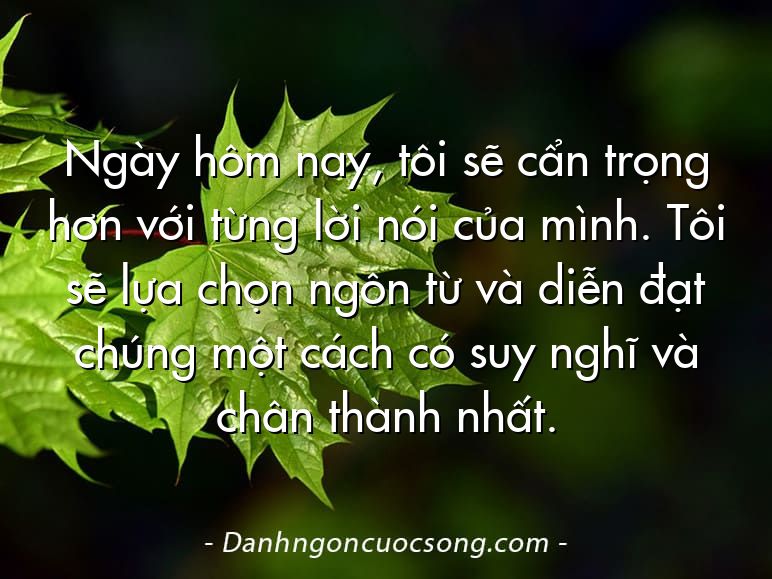 Ngày hôm nay, tôi sẽ cẩn trọng hơn với từng lời nói của mình. Tôi sẽ lựa chọn ngôn từ và diễn đạt chúng một cách có suy nghĩ và chân thành nhất.