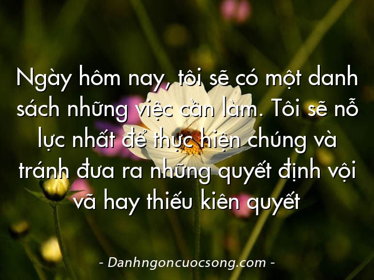 Ngày hôm nay, tôi sẽ có một danh sách những việc cần làm. Tôi sẽ nỗ lực nhất để thực hiện chúng và tránh đưa ra những quyết định vội vã hay thiếu kiên quyết