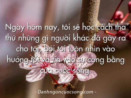 Ngày hôm nay, tôi sẽ học cách tha thứ những gì người khác đã gây ra cho tôi, bởi tôi luôn nhìn vào hướng tốt và tin vào sự công bằng của cuộc sống.