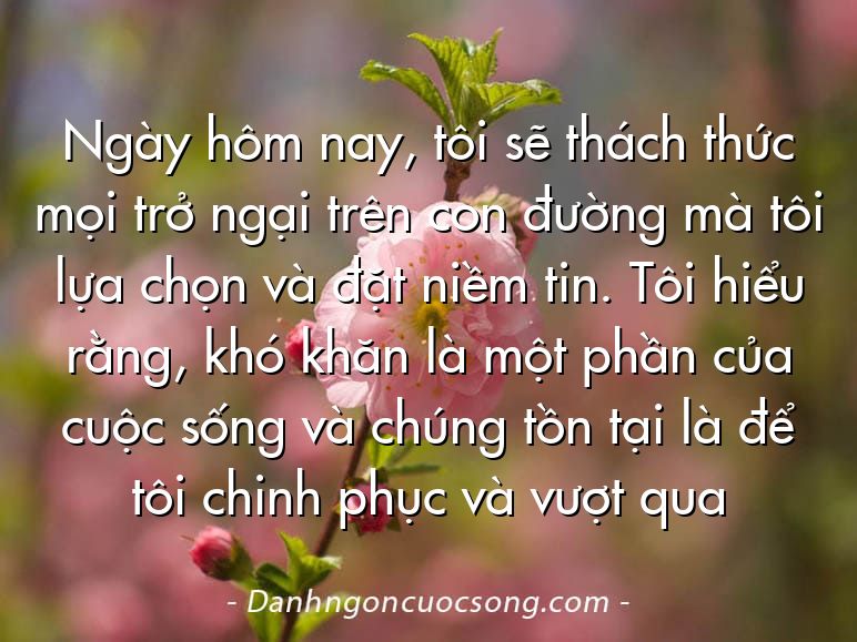 Ngày hôm nay, tôi sẽ thách thức mọi trở ngại trên con đường mà tôi lựa chọn và đặt niềm tin. Tôi hiểu rằng, khó khăn là một phần của cuộc sống và chúng tồn tại là để tôi chinh phục và vượt qua