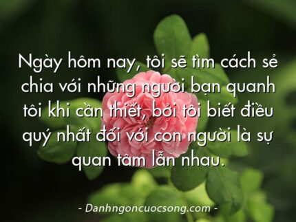 Ngày hôm nay, tôi sẽ tìm cách sẻ chia với những người bạn quanh tôi khi cần thiết, bởi tôi biết điều quý nhất đối với con người là sự quan tâm lẫn nhau.