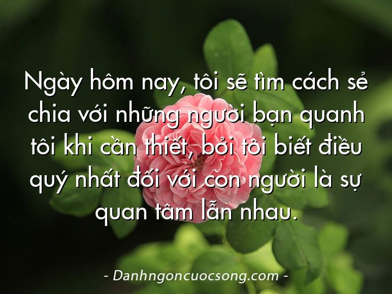 Ngày hôm nay, tôi sẽ tìm cách sẻ chia với những người bạn quanh tôi khi cần thiết, bởi tôi biết điều quý nhất đối với con người là sự quan tâm lẫn nhau.