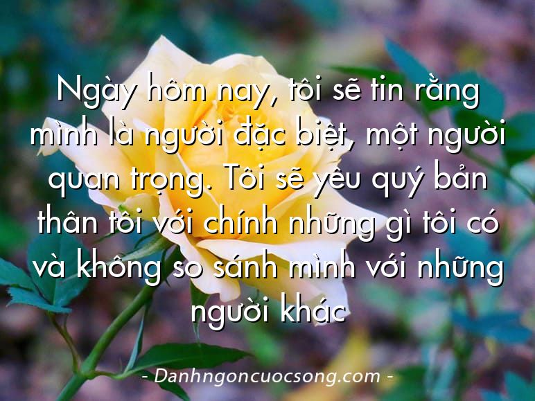 Ngày hôm nay, tôi sẽ tin rằng mình là người đặc biệt, một người quan trọng. Tôi sẽ yêu quý bản thân tôi với chính những gì tôi có và không so sánh mình với những người khác