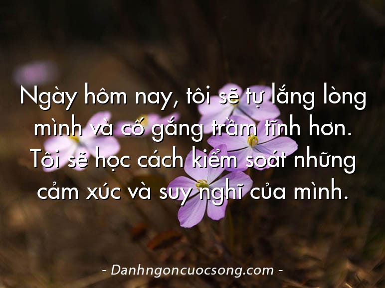 Ngày hôm nay, tôi sẽ tự lắng lòng mình và cố gắng trầm tĩnh hơn. Tôi sẽ học cách kiểm soát những cảm xúc và suy nghĩ của mình.