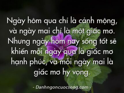 Ngày hôm qua chỉ là cảnh mộng, và ngày mai chỉ là một giấc mơ. Nhưng ngày hôm nay sống tốt sẽ khiến mỗi ngày qua là giấc mơ hạnh phúc, và mỗi ngày mai là giấc mơ hy vọng.