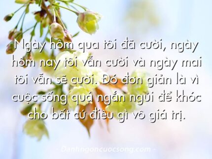 Ngày hôm qua tôi đã cười, ngày hôm nay tôi vẫn cười và ngày mai tôi vẫn sẽ cười. Đó đơn giản là vì cuộc sống quá ngắn ngủi để khóc cho bất cứ điều gì vô giá trị.