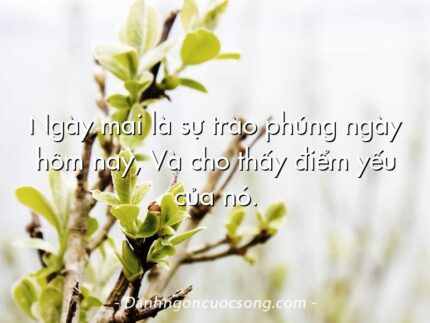 Ngày mai là sự trào phúng ngày hôm nay, Và cho thấy điểm yếu của nó.