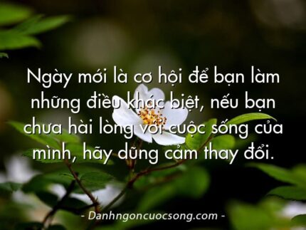 Ngày mới là cơ hội để bạn làm những điều khác biệt, nếu bạn chưa hài lòng với cuộc sống của mình, hãy dũng cảm thay đổi.