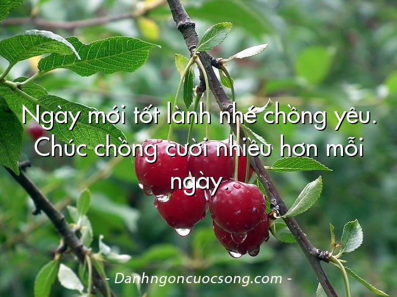 Ngày mới tốt lành nhé chồng yêu. Chúc chồng cười nhiều hơn mỗi ngày.
