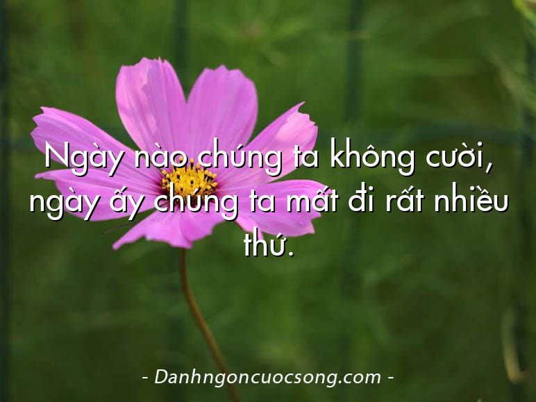 Ngày nào chúng ta không cười, ngày ấy chúng ta mất đi rất nhiều thứ.