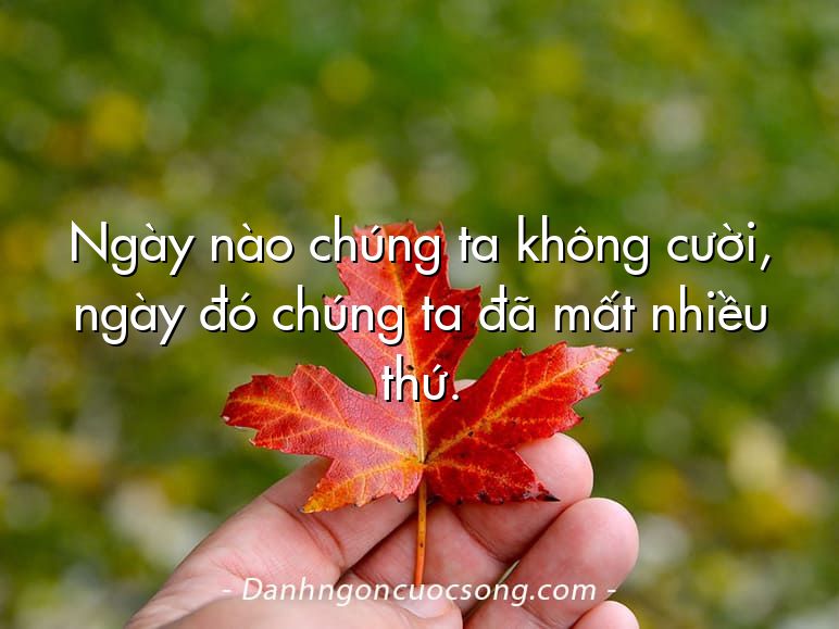 Ngày nào chúng ta không cười, ngày đó chúng ta đã mất nhiều thứ.