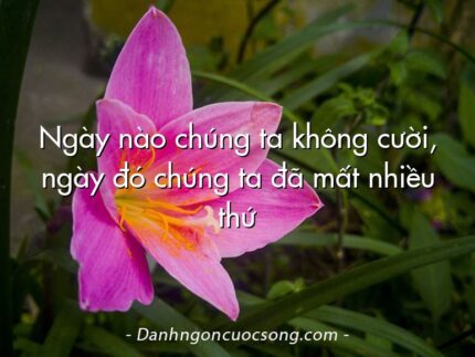 Ngày nào chúng ta không cười, ngày đó chúng ta đã mất nhiều thứ