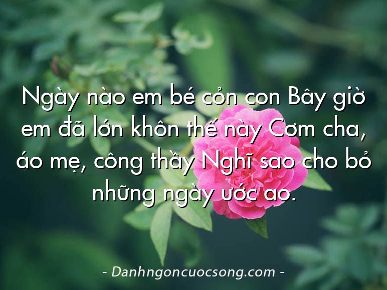 Ngày nào em bé cỏn con Bây giờ em đã lớn khôn thế này Cơm cha, áo mẹ, công thầy Nghĩ sao cho bỏ những ngày ước ao.