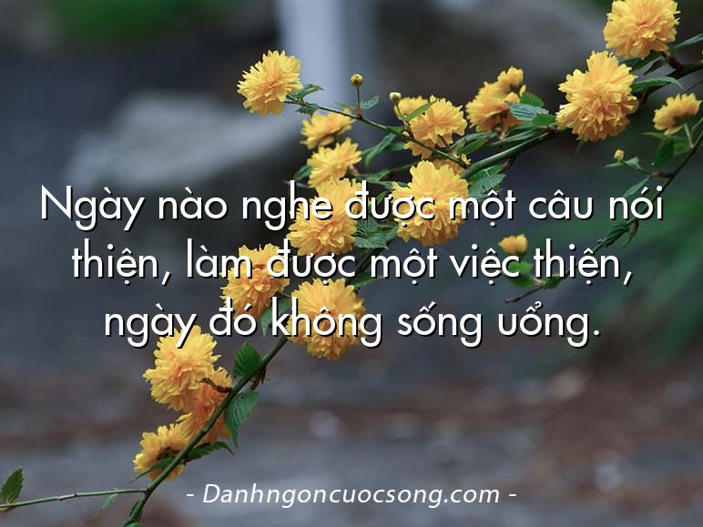 Ngày nào nghe được một câu nói thiện, làm được một việc thiện, ngày đó không sống uổng.