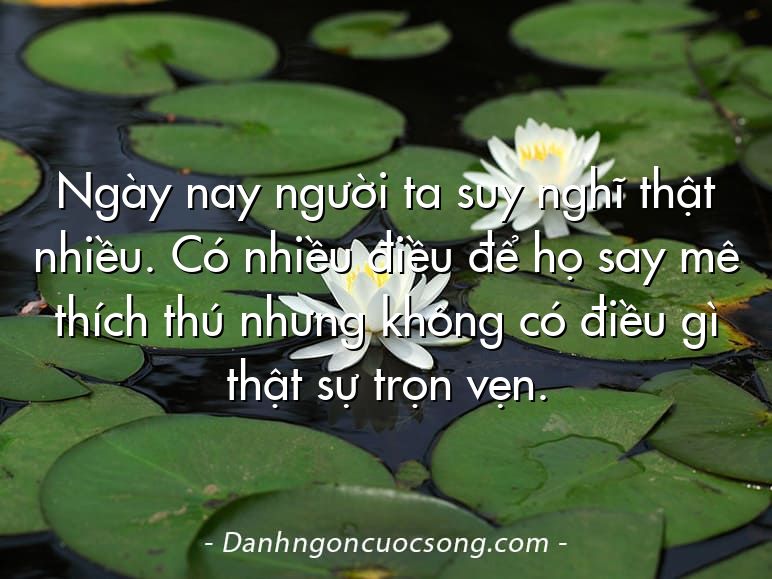 Ngày nay người ta suy nghĩ thật nhiều. Có nhiều điều để họ say mê thích thú nhưng không có điều gì thật sự trọn vẹn.