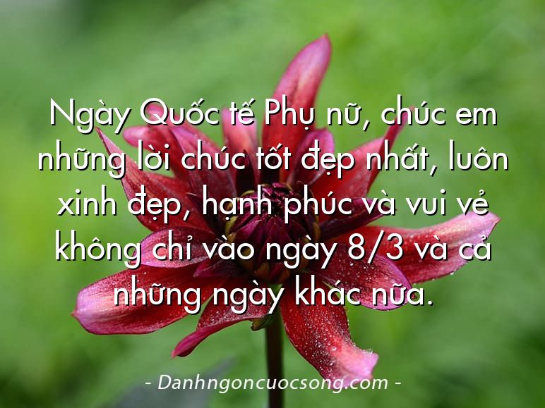 Ngày Quốc tế Phụ nữ, chúc em những lời chúc tốt đẹp nhất, luôn xinh đẹp, hạnh phúc và vui vẻ không chỉ vào ngày 8/3 và cả những ngày khác nữa.