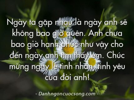 Ngày ta gặp nhau là ngày anh sẽ không bao giờ quên. Anh chưa bao giờ hạnh phúc như vậy cho đến ngày anh tìm thấy em. Chúc mừng ngày lễ tình nhân, tình yêu của đời anh!