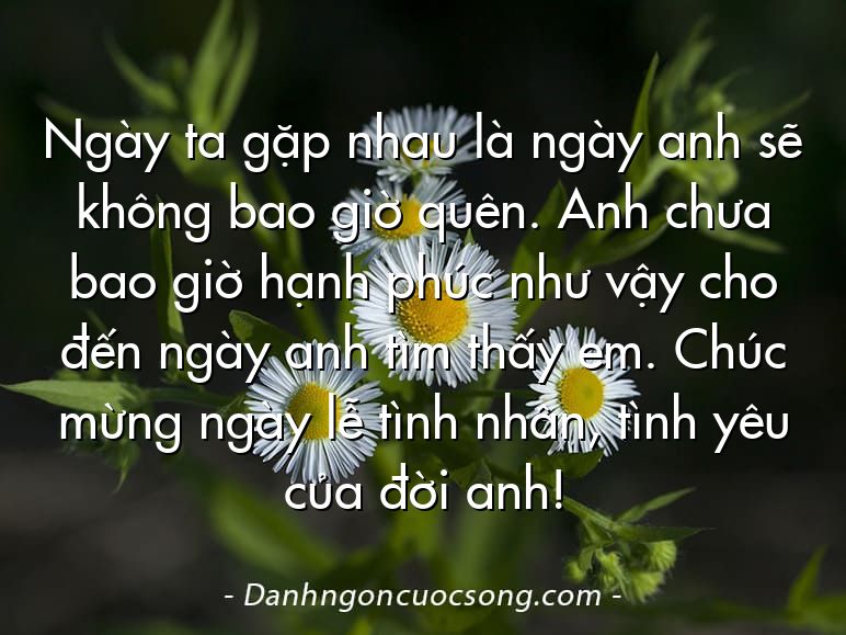 Ngày ta gặp nhau là ngày anh sẽ không bao giờ quên. Anh chưa bao giờ hạnh phúc như vậy cho đến ngày anh tìm thấy em. Chúc mừng ngày lễ tình nhân, tình yêu của đời anh!