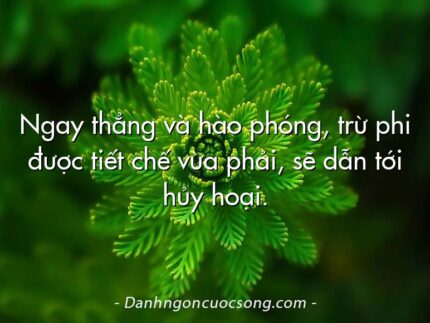 Ngay thẳng và hào phóng, trừ phi được tiết chế vừa phải, sẽ dẫn tới hủy hoại.