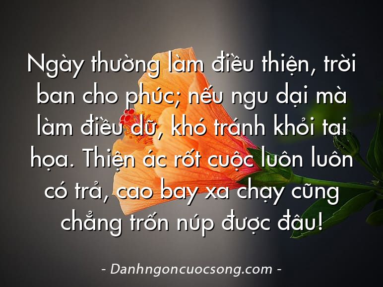 Ngày thường làm điều thiện, trời ban cho phúc; nếu ngu dại mà làm điều dữ, khó tránh khỏi tai họa. Thiện ác rốt cuộc luôn luôn có trả, cao bay xa chạy cũng chẳng trốn núp được đâu!