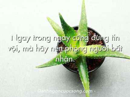 Ngay trong ngay cũng đừng tin vội, mà hãy nên phòng người bất nhân.