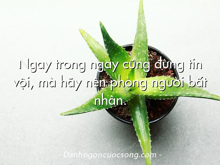 Ngay trong ngay cũng đừng tin vội, mà hãy nên phòng người bất nhân.