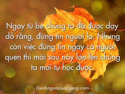 Ngay từ bé chúng ta đã được dạy dỗ rằng, đừng tin người lạ. Nhưng còn việc đừng tin ngay cả người quen thì mãi sau này lớn lên chúng ta mới tự học được.