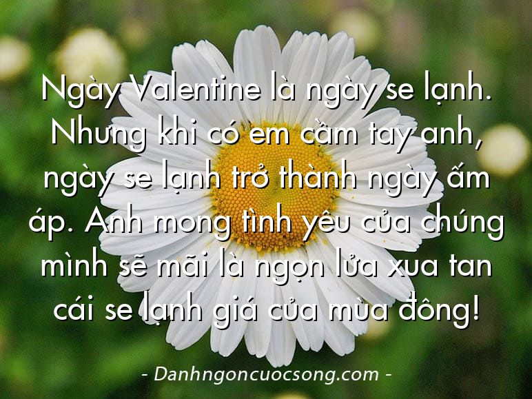 Ngày Valentine là ngày se lạnh. Nhưng khi có em cầm tay anh, ngày se lạnh trở thành ngày ấm áp. Anh mong tình yêu của chúng mình sẽ mãi là ngọn lửa xua tan cái se lạnh giá của mùa đông!