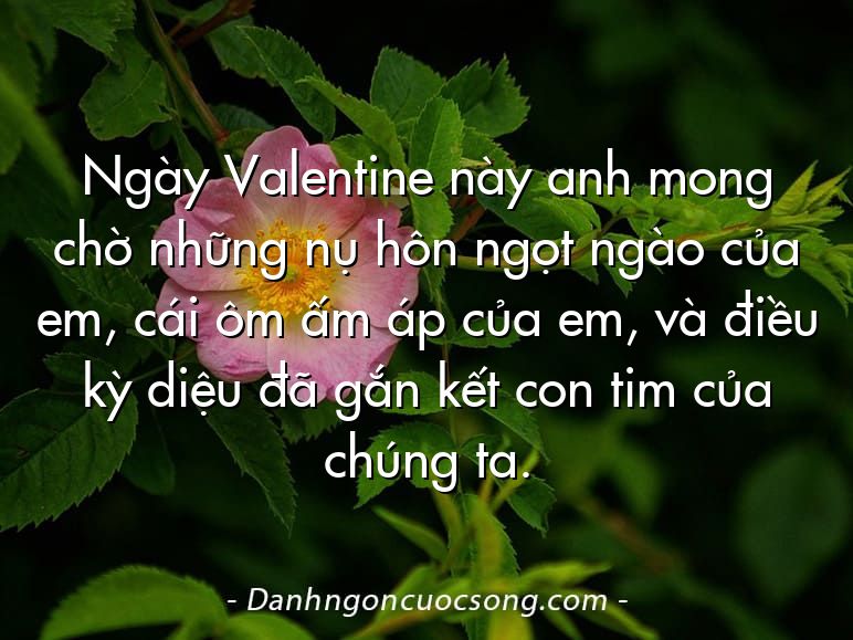 Ngày Valentine này anh mong chờ những nụ hôn ngọt ngào của em, cái ôm ấm áp của em, và điều kỳ diệu đã gắn kết con tim của chúng ta.