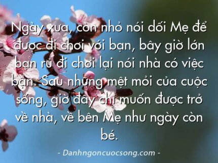 Ngày xưa, còn nhỏ nói dối Mẹ để được đi chơi với bạn, bây giờ lớn bạn rủ đi chơi lại nói nhà có việc bận. Sau những mệt mỏi của cuộc sống, giờ đây chỉ muốn được trở về nhà, về bên Mẹ như ngày còn bé.