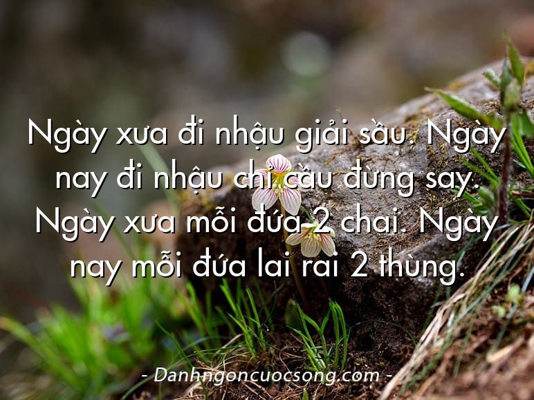 Ngày xưa đi nhậu giải sầu. Ngày nay đi nhậu chỉ cầu đừng say. Ngày xưa mỗi đứa 2 chai. Ngày nay mỗi đứa lai rai 2 thùng.