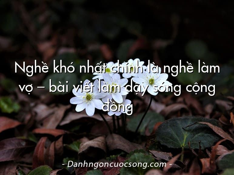 Nghề khó nhất chính là nghề làm vợ – bài viết làm dậy sóng cộng đồng