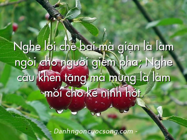Nghe lời chê bai mà giận là làm ngòi cho người gièm pha; Nghe câu khen tặng mà mừng là làm mồi cho kẻ nịnh hót.