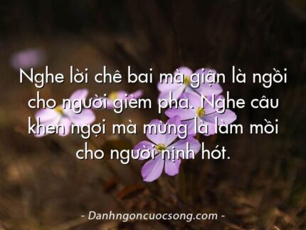 Nghe lời chê bai mà giận là ngồi cho người gièm pha. Nghe câu khen ngợi mà mừng là làm mồi cho người nịnh hót.