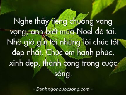 Nghe thấy tiếng chuông vang vọng, anh biết mùa Noel đã tới. Nhờ gió gửi tới những lời chúc tốt đẹp nhất. Chúc em hạnh phúc, xinh đẹp, thành công trong cuộc sống.