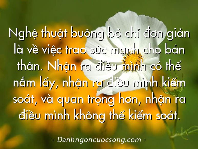 Nghệ thuật buông bỏ chỉ đơn giản là về việc trao sức mạnh cho bản thân. Nhận ra điều mình có thể nắm lấy, nhận ra điều mình kiểm soát, và quan trọng hơn, nhận ra điều mình không thể kiểm soát.
