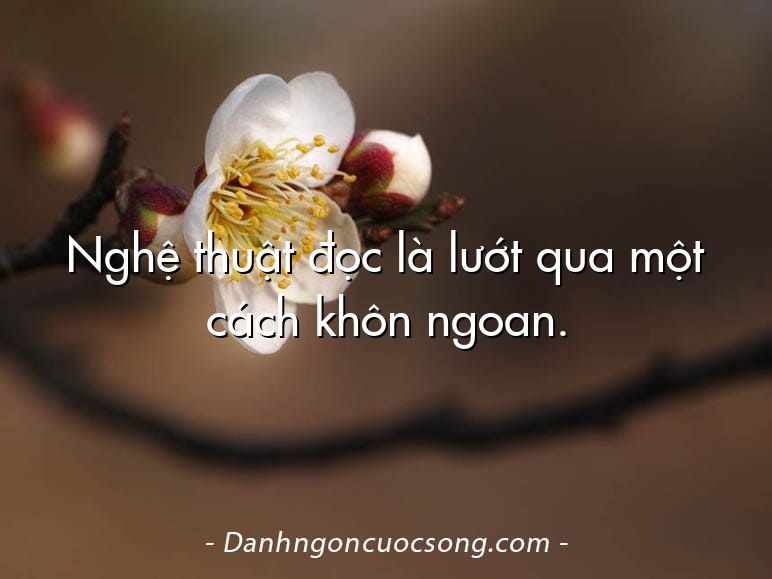 Nghệ thuật đọc là lướt qua một cách khôn ngoan.