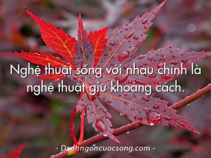 Nghệ thuật sống với nhau chính là nghệ thuật giữ khoảng cách.