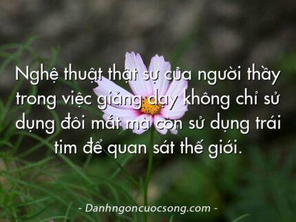 Nghệ thuật thật sự của người thầy trong việc giảng dạy không chỉ sử dụng đôi mắt mà còn sử dụng trái tim để quan sát thế giới.