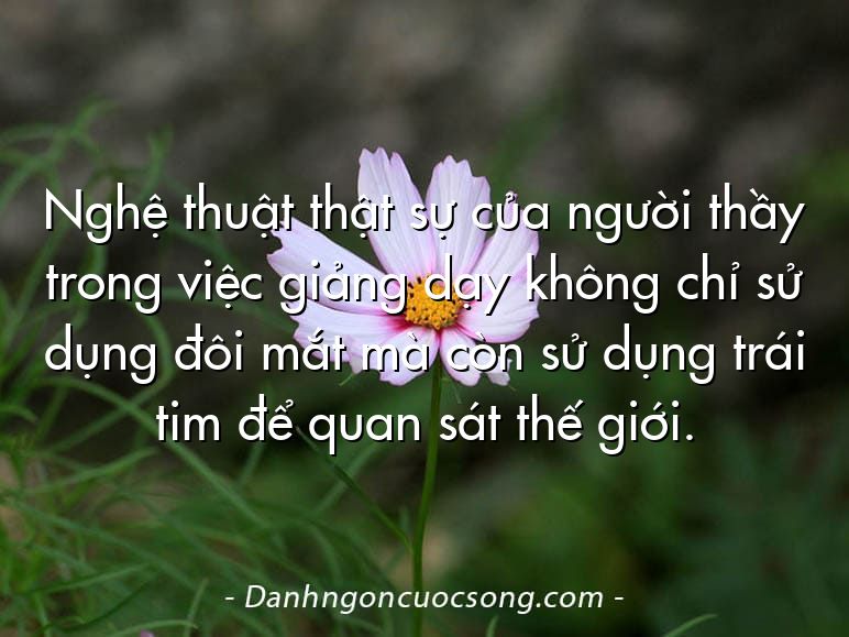 Nghệ thuật thật sự của người thầy trong việc giảng dạy không chỉ sử dụng đôi mắt mà còn sử dụng trái tim để quan sát thế giới.